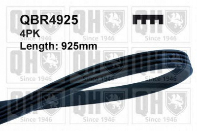 QUINTON HAZELL qbr4925 -  Поликлиновой ремень